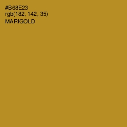 #B68E23 - Marigold Color Image