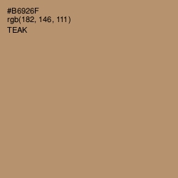 #B6926F - Teak Color Image