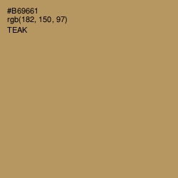 #B69661 - Teak Color Image