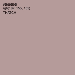 #B69B9B - Thatch Color Image