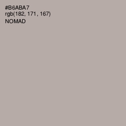 #B6ABA7 - Nomad Color Image