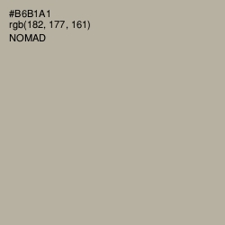 #B6B1A1 - Nomad Color Image