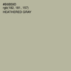 #B6B59D - Heathered Gray Color Image