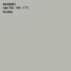 #B6B8B1 - Nobel Color Image