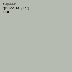#B6BBB1 - Tide Color Image