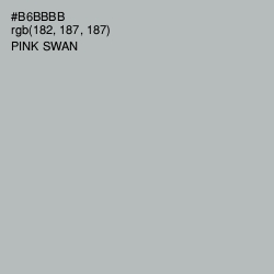 #B6BBBB - Pink Swan Color Image