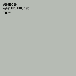 #B6BCB4 - Tide Color Image