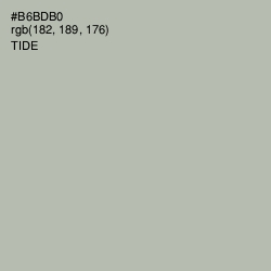 #B6BDB0 - Tide Color Image