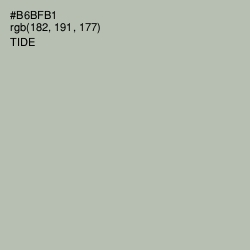 #B6BFB1 - Tide Color Image