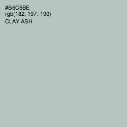 #B6C5BE - Clay Ash Color Image