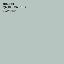 #B6C5BF - Clay Ash Color Image