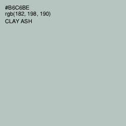 #B6C6BE - Clay Ash Color Image