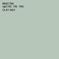 #B6C7BA - Clay Ash Color Image