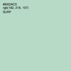 #B6DAC5 - Surf Color Image