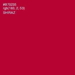 #B70235 - Shiraz Color Image