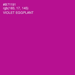 #B71191 - Violet Eggplant Color Image