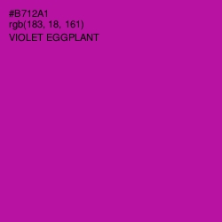 #B712A1 - Violet Eggplant Color Image