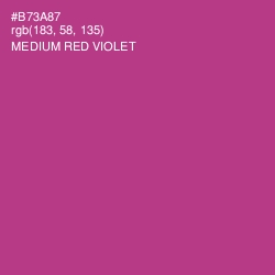 #B73A87 - Medium Red Violet Color Image