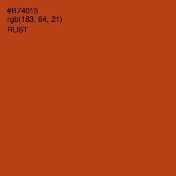 #B74015 - Rust Color Image