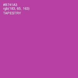 #B741A3 - Tapestry Color Image