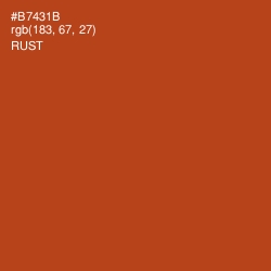 #B7431B - Rust Color Image