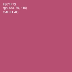 #B74F73 - Cadillac Color Image