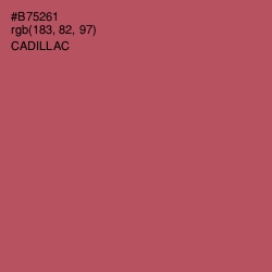 #B75261 - Cadillac Color Image