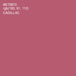 #B75B70 - Cadillac Color Image