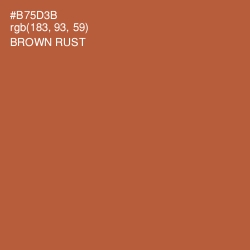 #B75D3B - Brown Rust Color Image