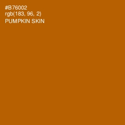 #B76002 - Pumpkin Skin Color Image