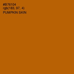 #B76104 - Pumpkin Skin Color Image