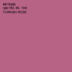 #B76386 - Turkish Rose Color Image