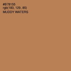 #B78155 - Muddy Waters Color Image