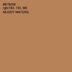 #B78258 - Muddy Waters Color Image