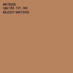 #B7835E - Muddy Waters Color Image