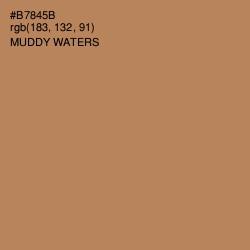 #B7845B - Muddy Waters Color Image