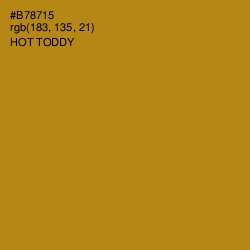 #B78715 - Hot Toddy Color Image