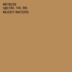 #B78C59 - Muddy Waters Color Image