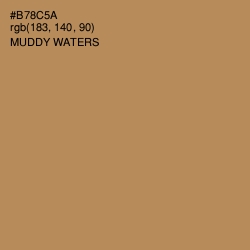 #B78C5A - Muddy Waters Color Image