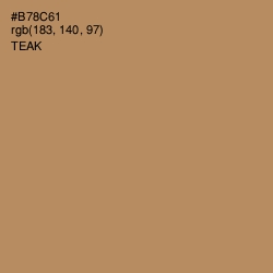 #B78C61 - Teak Color Image