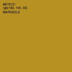 #B79121 - Marigold Color Image