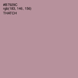 #B7929C - Thatch Color Image