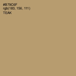 #B79C6F - Teak Color Image