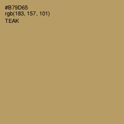 #B79D65 - Teak Color Image