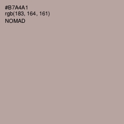 #B7A4A1 - Nomad Color Image