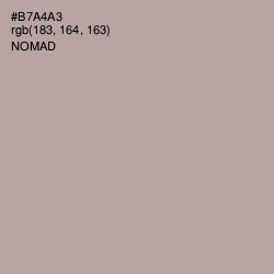 #B7A4A3 - Nomad Color Image
