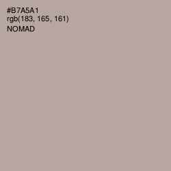 #B7A5A1 - Nomad Color Image