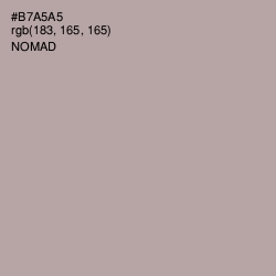 #B7A5A5 - Nomad Color Image