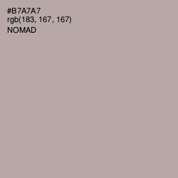 #B7A7A7 - Nomad Color Image
