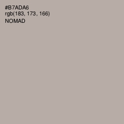 #B7ADA6 - Nomad Color Image